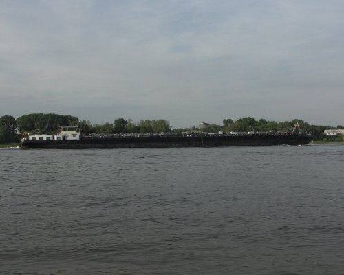 Rhein