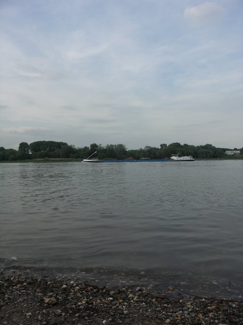 Rhein2