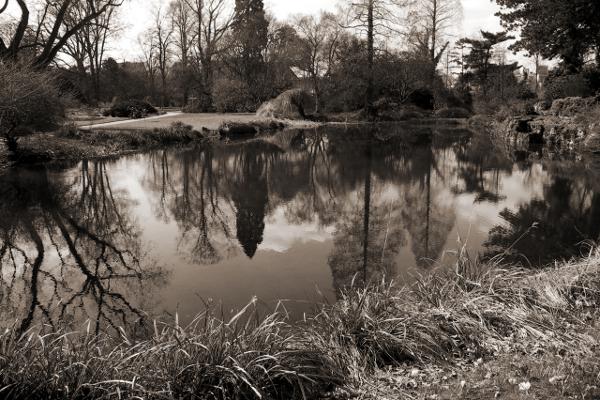 Pond in Flora Cologne/Teich in Flora Köln. Tommy Schmucker 2013-04-01. [CC BY-SA 3.0]