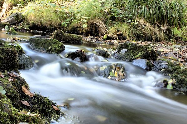 Small Water (Roetgen, Germany). Tommy Schmucker 2016-10-16. [CC BY-SA 3.0]